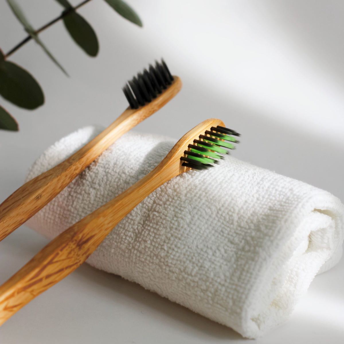 Toothbrush. Shop Toothbrushes – asnani.co